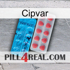 Cipvar new14